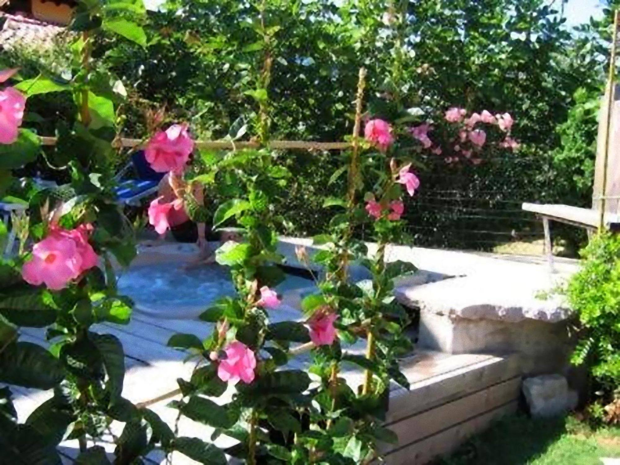 Hotel Luna Rossa (Adults Only) مالتشيزينيه المظهر الخارجي الصورة